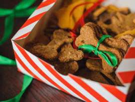 Christmas Dog and Cat Treats