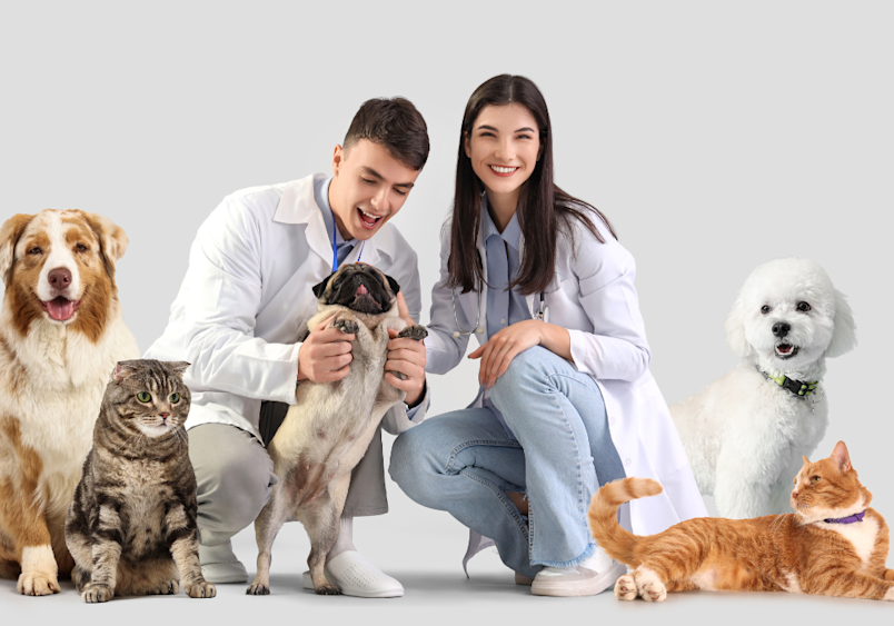 Two smiling veterinarians in white coats pose with various pets including an Australian Shepherd, pug, Maltese, tabby cat, and orange cat, illustrating how vet visit cost varies with special considerations by pet type. 