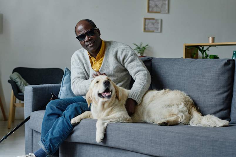 A visually impaired man sits comfortably on a gray sofa, gently petting his golden retriever guide dog as they share a quiet moment at home, white cane resting nearby. This image captures something often overlooked in conversations about guide dogs for the blind — the deep companionship that develops between a handler and their dog beyond the demands of navigation and public access. 