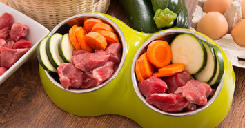 Raw-Meat-and-Vegetables-in-Dog-Bowl