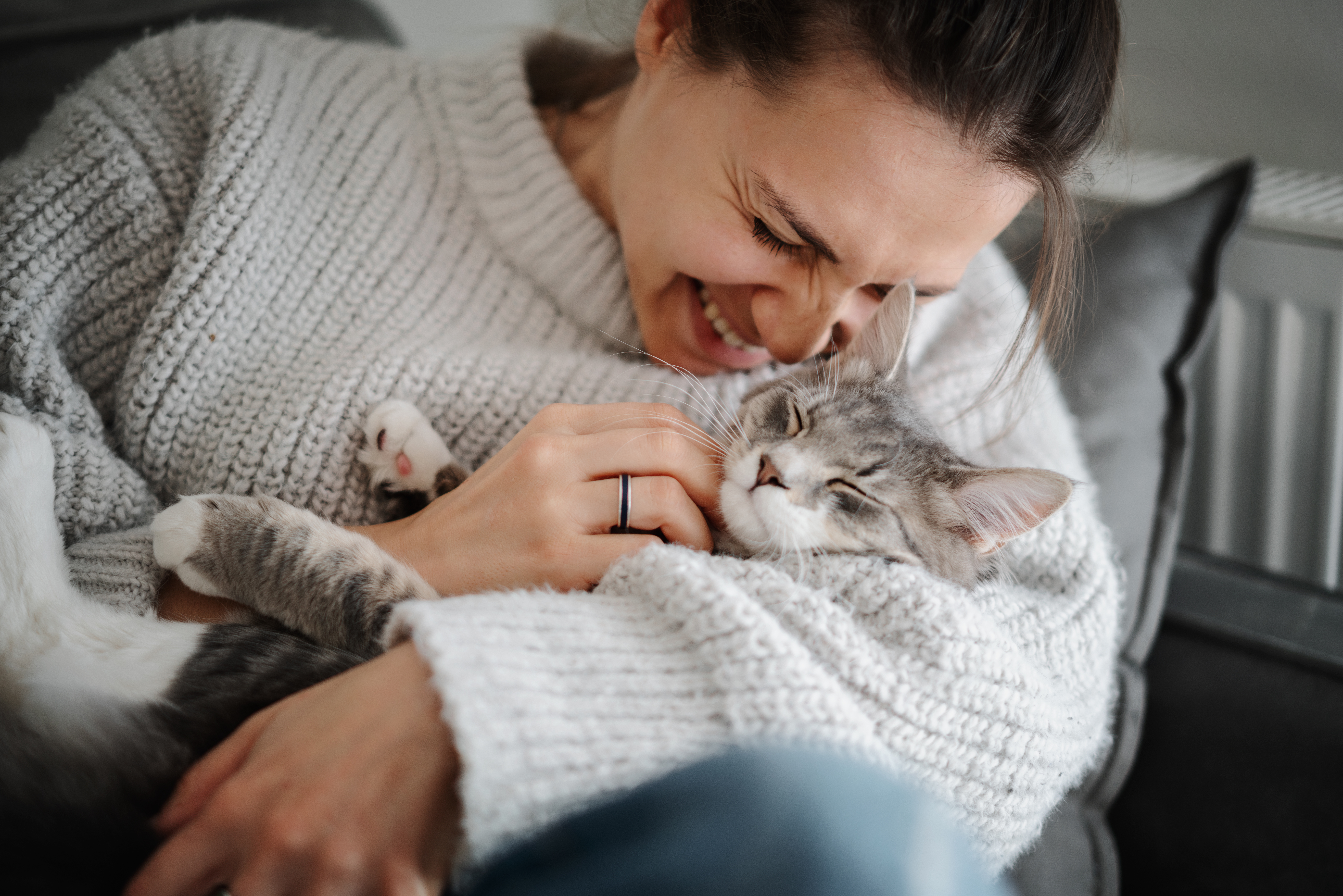 A smiling woman cuddles a relaxed gray tabby cat nestled contentedly in her arms, the kind of bond that's possible when you learn how to desensitize a cat to being picked up and held. This cozy moment is a perfect example of what it looks like when you've figured out how to get a cat to be comfortable with you during close contact.