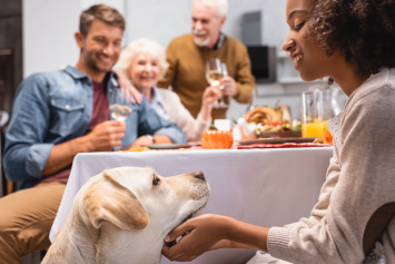 A woman smiling and petting a dog that's sitting near the dinner table on Thanksgiving.