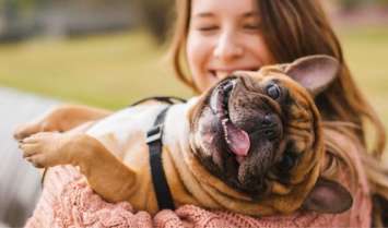 A happy dog that is cuddled by its human owner, both feeling giddy and excited for their newly acquired pet insurance. 