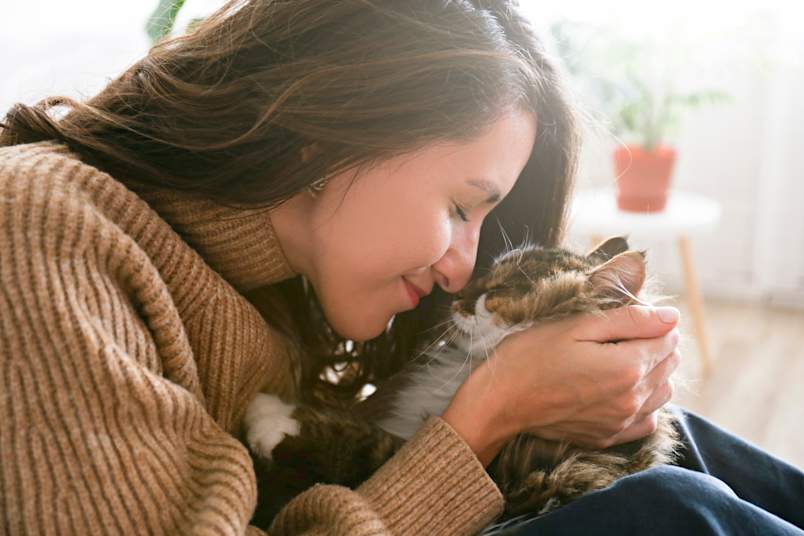 Emotional Support Animal - Cat