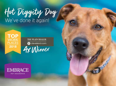Embrace Pet Insurance 2018 Top Workplaces Award banner