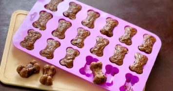 homemade dog treats in tray