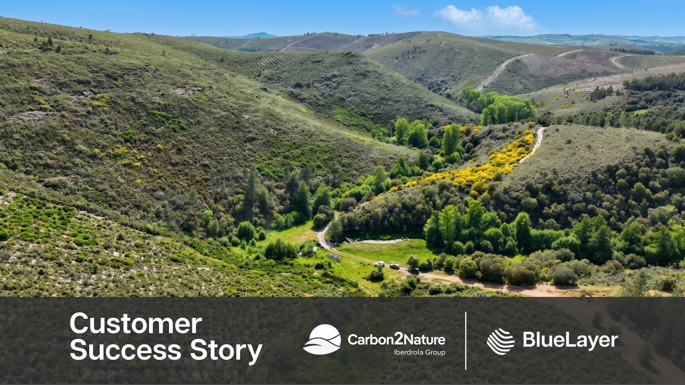 How Carbon2Nature built operational clarity across a growing carbon portfolio with BlueLayer