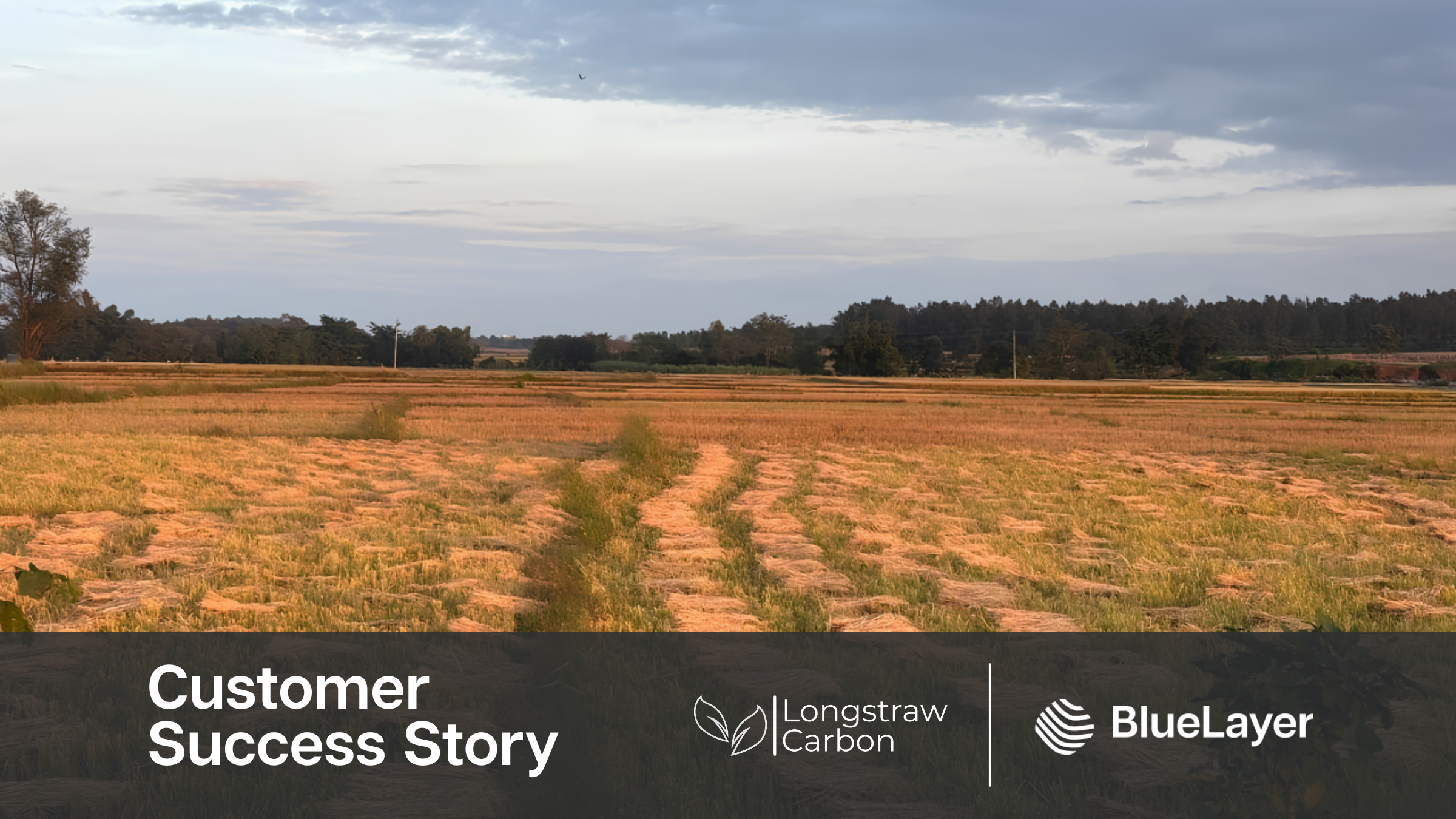 How LongStraw Carbon scales biochar carbon removal across India with BlueLayer's dMRV platform