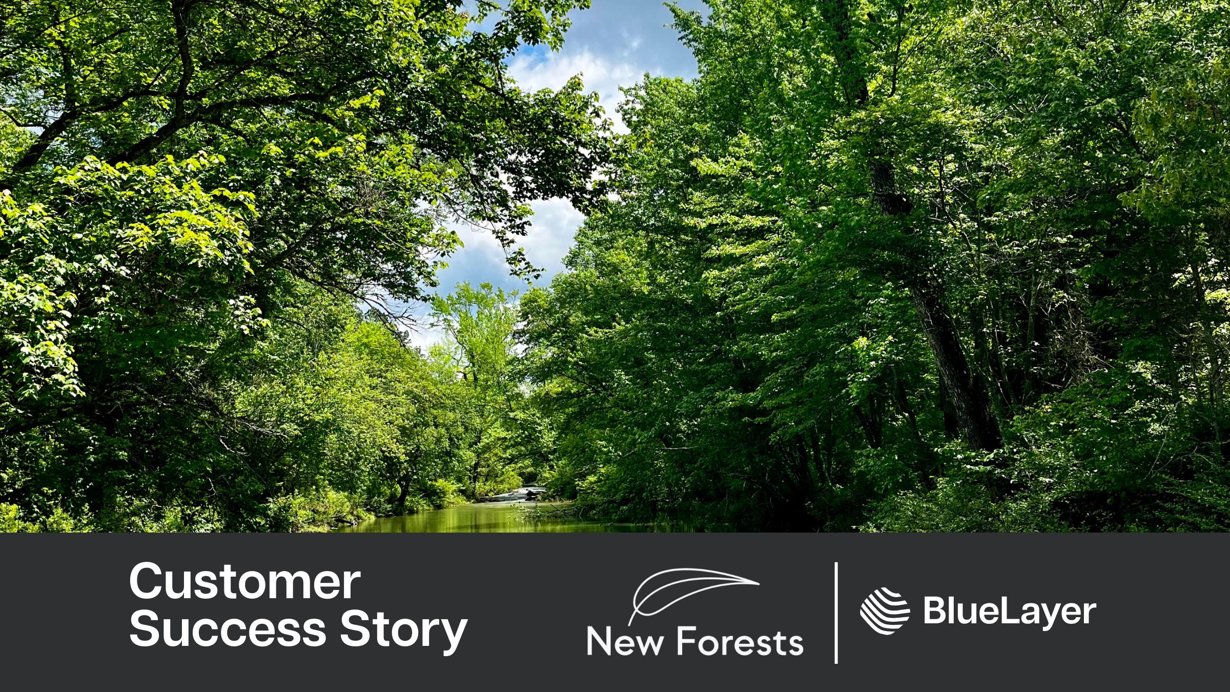 How New Forests streamlined operations with BlueLayer
