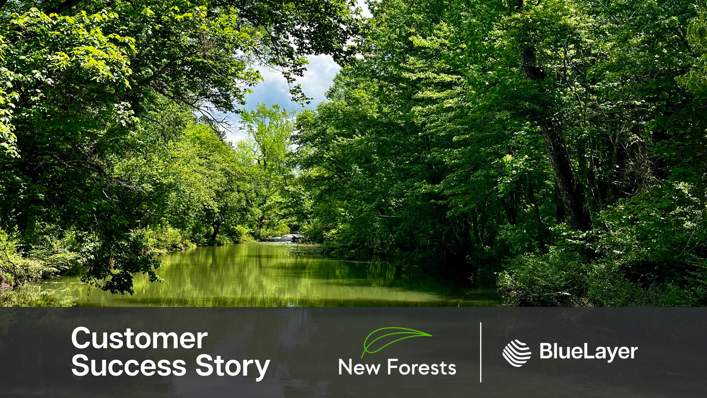 How New Forests streamlined operations with BlueLayer