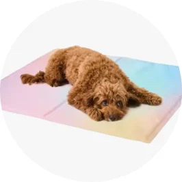 Pets Cooling Mat- S