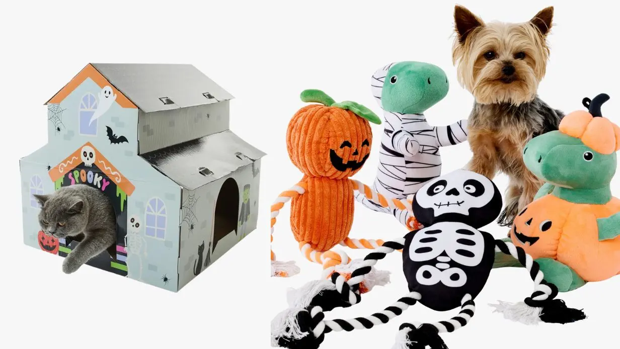 Halloween Pet Costumes