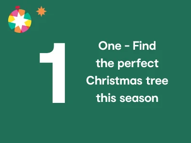 One - find the perfect Christmas tree this season