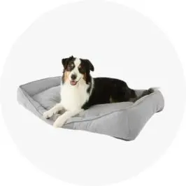 Pet Bed Lounge - Extra Large, Char