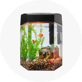 360 Degree LED Aqua