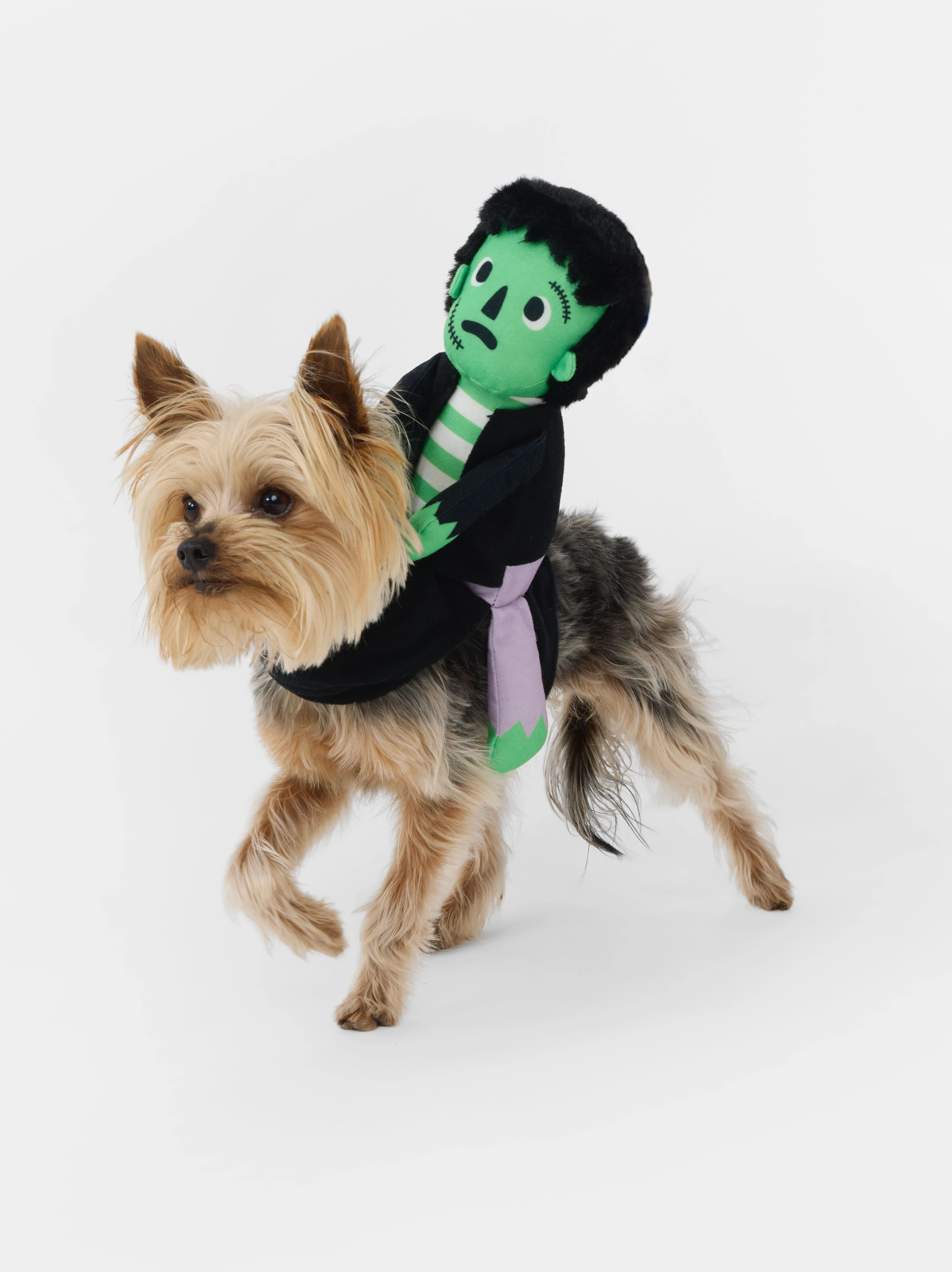 Halloween Pet Cost