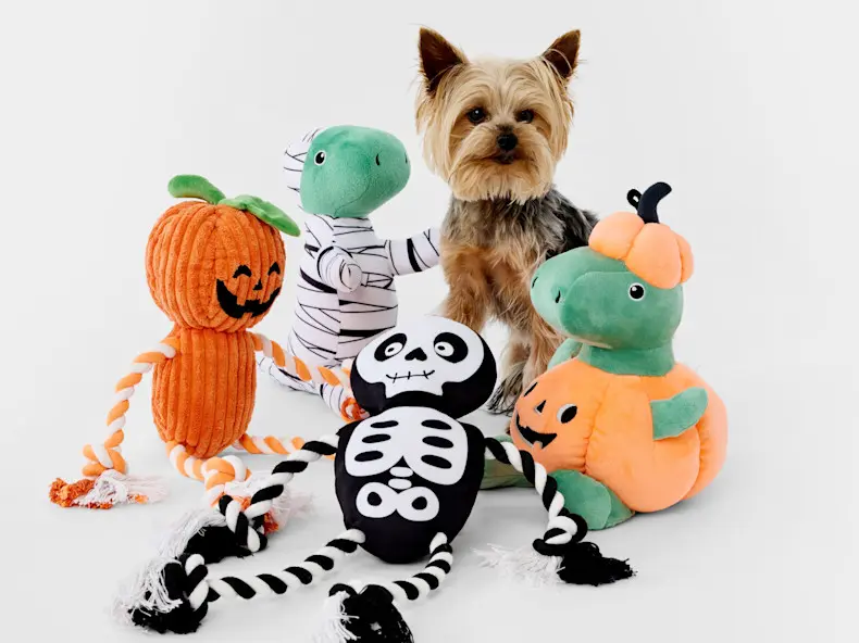 Pet Halloween 