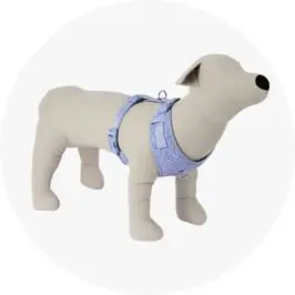 Pet Knit Harness - Medium, 
