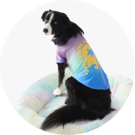 Pet T-shirt Summer - S