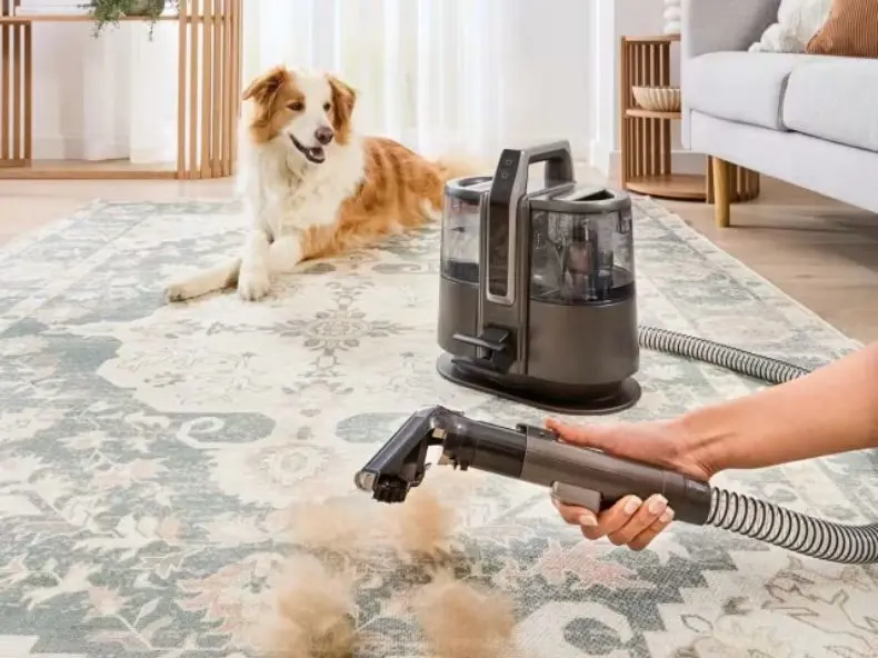 Cordless Spot Cleaner - Grey and Black.jpg