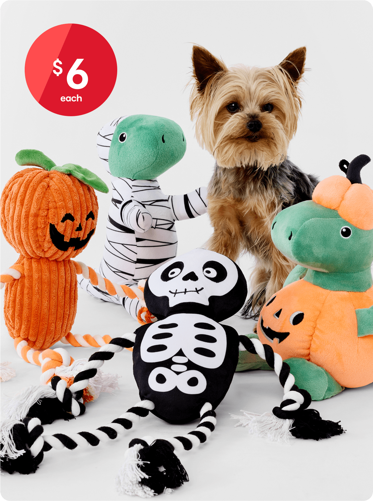 Halloween Pet Toys & Costumes