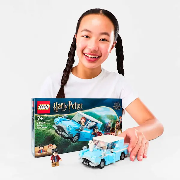 LEGO Masters Harry Potter LEGO set