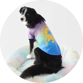 Pet T-shirt Summer - S