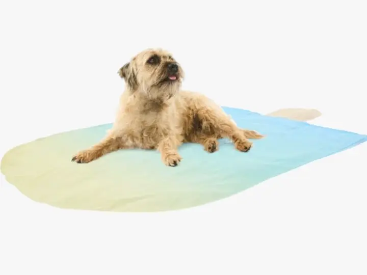 Pet Cooling Mat - Ice Cream