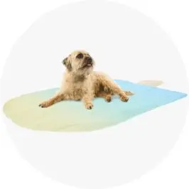Pet Cooling Mat - Ice C