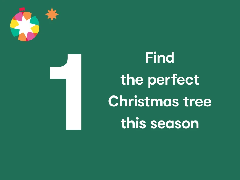 one - Christmas tree buying guide