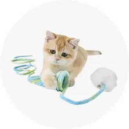 Cat Toy Slinky Chaser