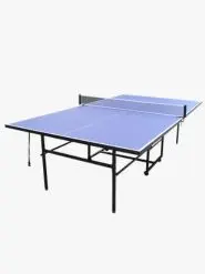 Table Tennis T