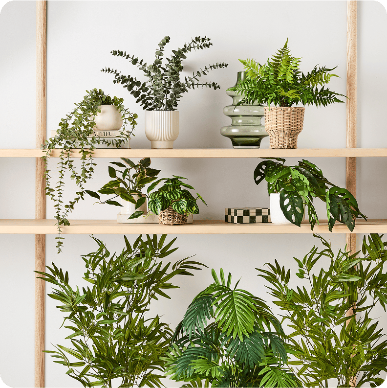 Artificial Plants & Flowers