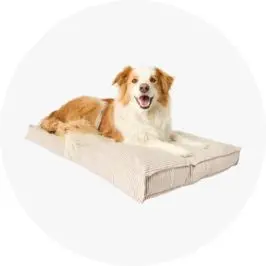 Pet Bed Rectangle Striped - L