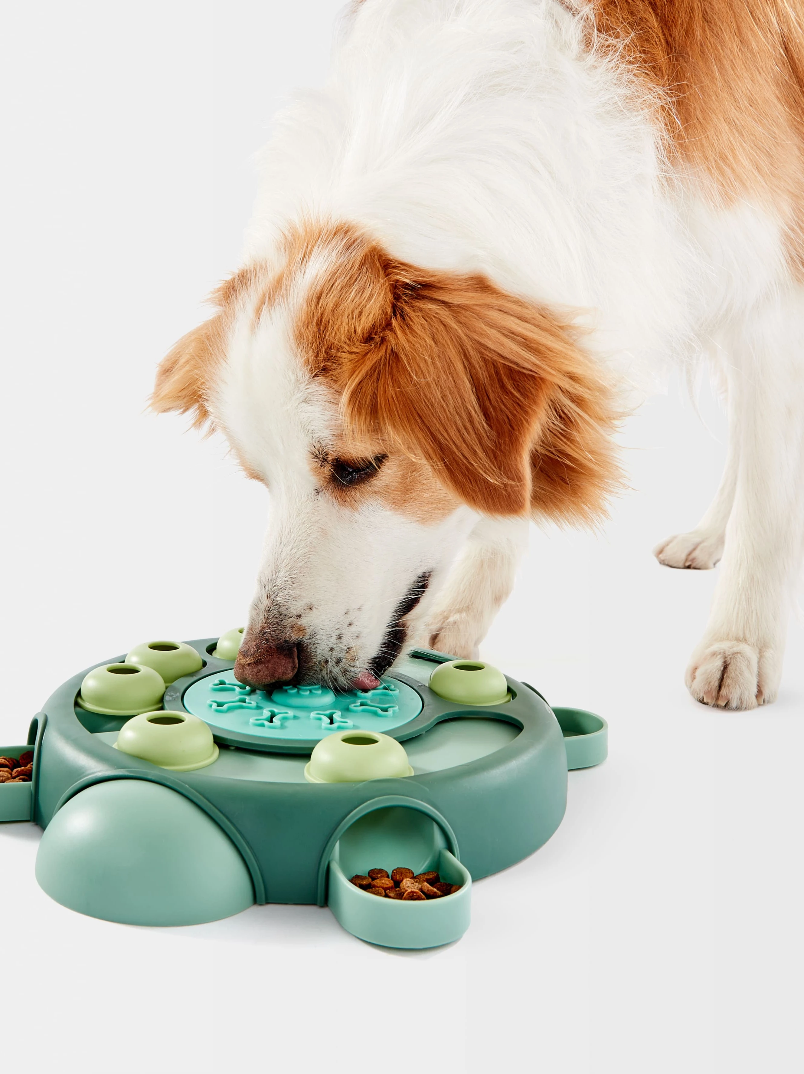 Pet Toy IQ Puzzle Tu