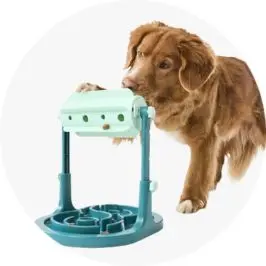 Pet IQ Toy Dispenser