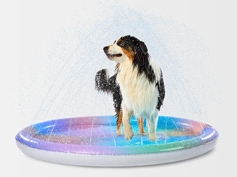 Pet Water Fountain