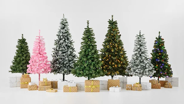 Group shot of all the different Christmas tree types on range