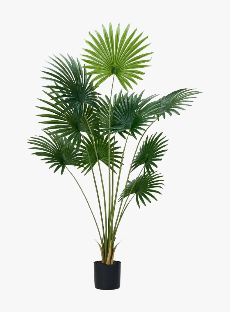 Tall Artificial 