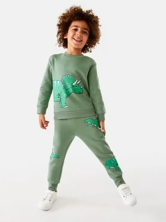 Boy wearing matching dinosaur sweatpants and ho