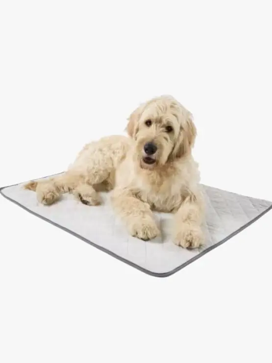 Pet Blanket Self War