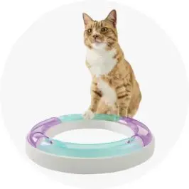 Cat Toy Tunnel Runner