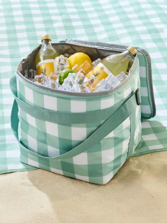 20L Collapsible Cooler - C