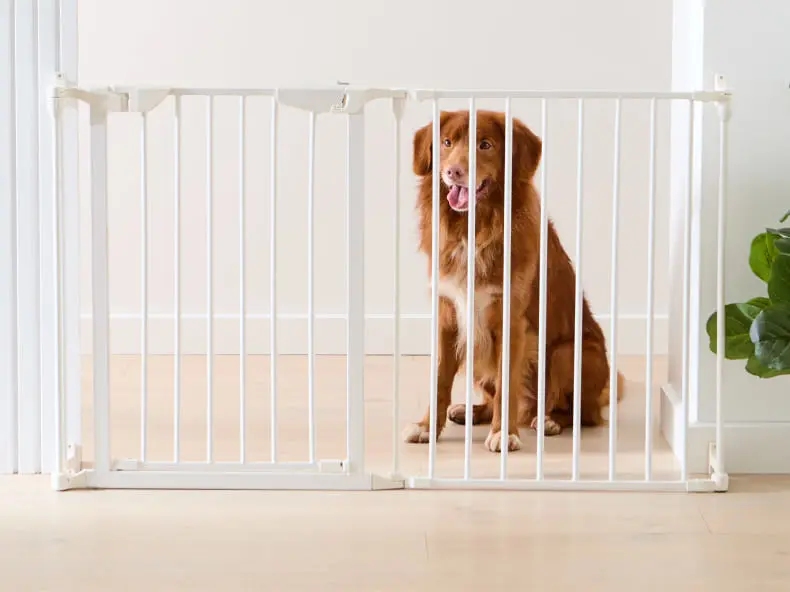 pet gate with exten