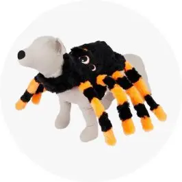 Halloween pets apparel cos