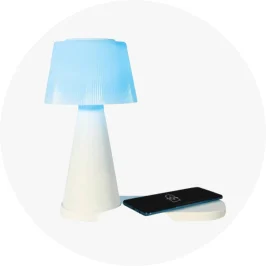 2-in-1 Portable Lamp & Charging 