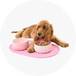 Puppy Bowl Starter Pack - 