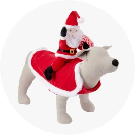 Pet Christmas Costume Santa Rid