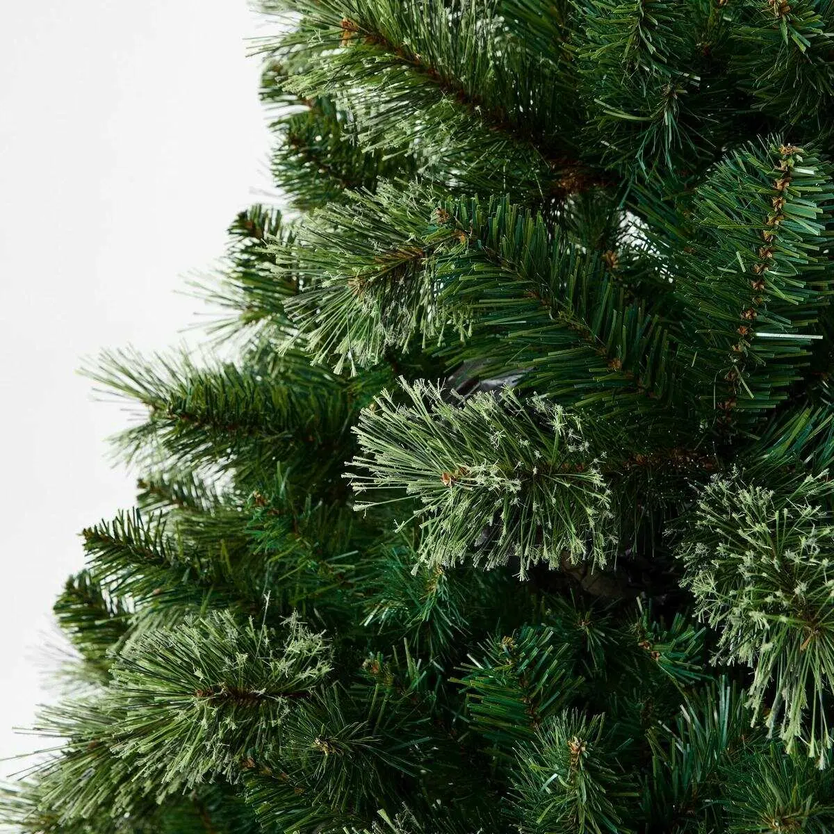 Green traditional Christmas trees 2