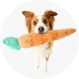 dog biting a carrot pet plush